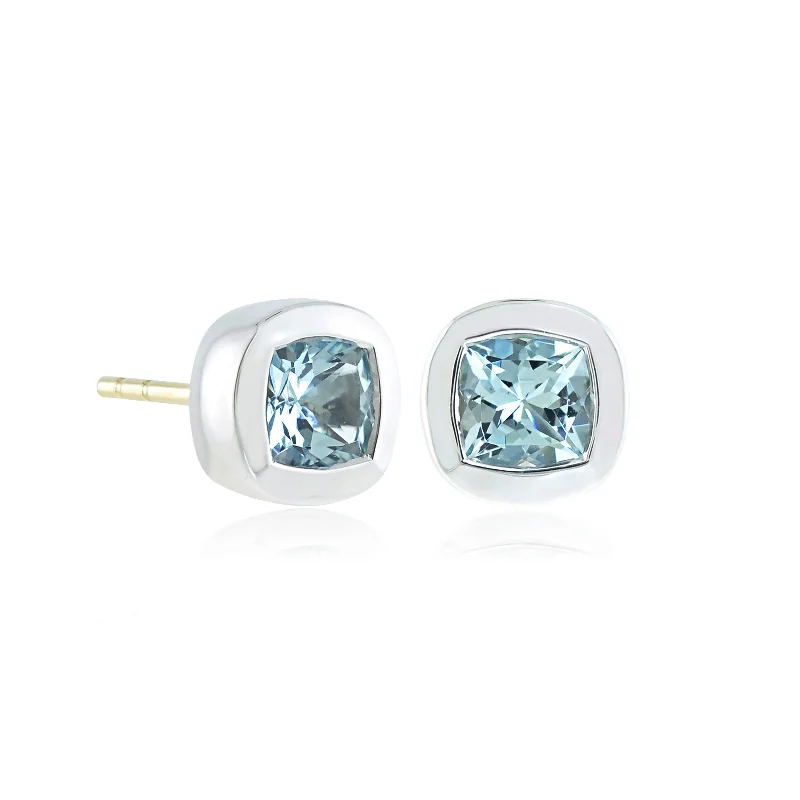 Melrose Earrings in Aquamarines