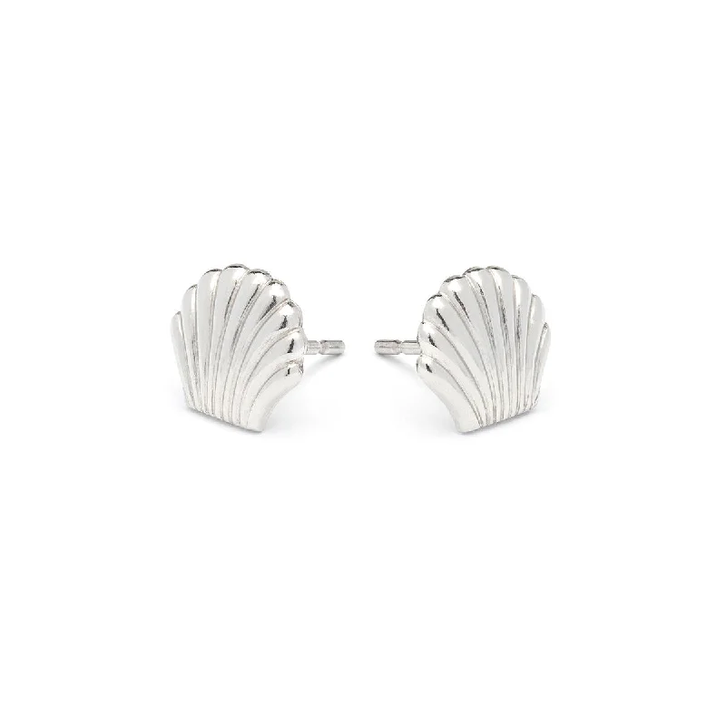 Stainless Steel Seashell Tiny Stud Earrings